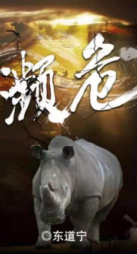 《濒危》剧本杀答案真相