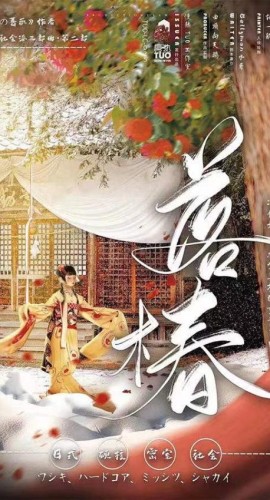 《野の蔷薇2落椿》6人剧本杀电子版完整资源