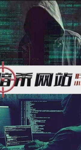 《暗杀网站》剧本杀复盘解析